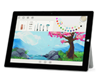 湘桥Surface 无法开启、Windows 无法启动或电池无法充电